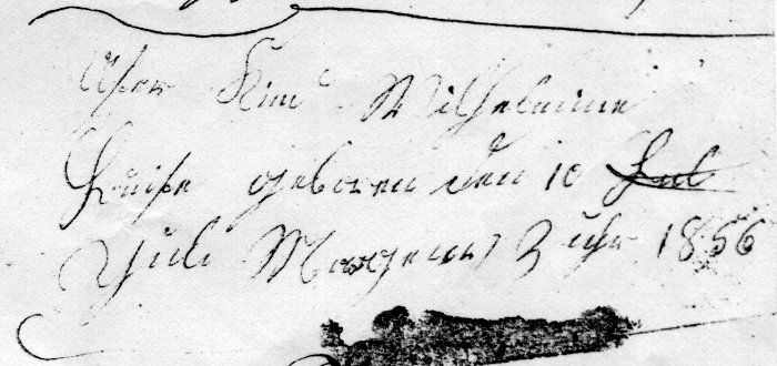 family's record of Wilhelmine L. Fiegenbaum's birth